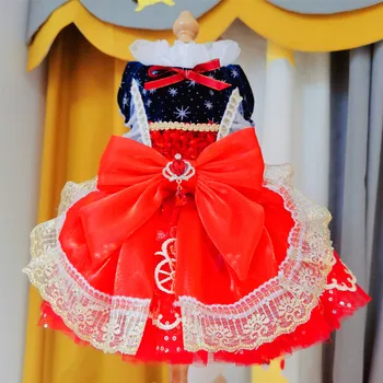 Jemné Luxusné Módne Psa Oblečenie High-end Ručný Luk Čipky Princess Party Šaty Pre Malé Stredné Pes Čivava, Oblečenie